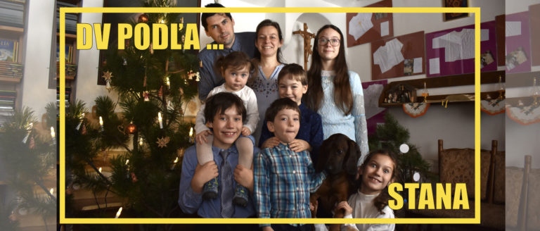 Domáce vzdelávanie podľa Stana