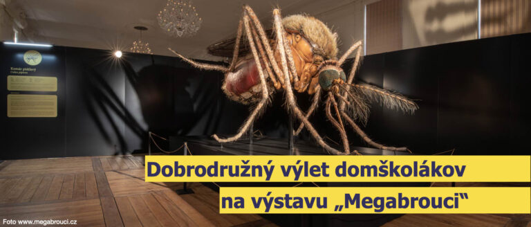 Megabrouci a pestovanie odolnosti