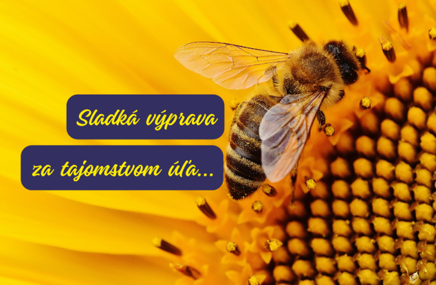 Exkurzia do Včelárstva Adonis