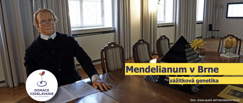 Figurína Gregora Mendela pri stole v pracovni múzea Mendelianum v Brne – zážitková genetika